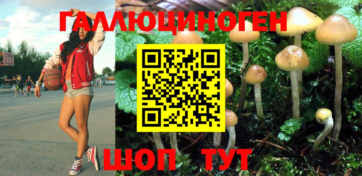 Псилоцибиновые грибы Magic Shrooms Жигулёвск