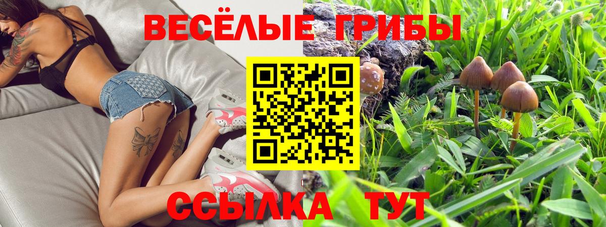 Галлюциногенные грибы мухоморы  Псилоцибиновые грибы Psilocybe  Жигулёвск  Вход с VPN 